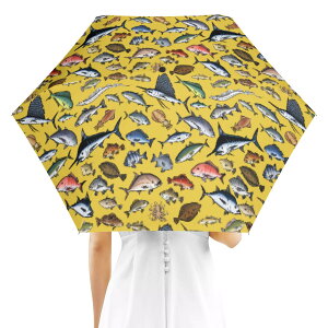 KAISUIGYO_CD_AO(܂ݎP OʃfUC) ܂ݎP OʃfUC jZbNX ANZT[ S  C ނ Cނ ނ C nekototuribito _ID018