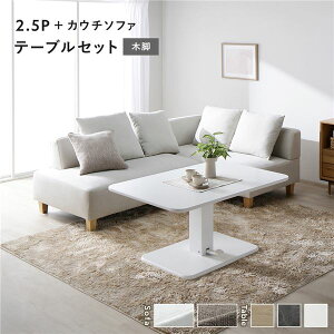 R[i[ JE`\t@ e[uZbg 2.5l|\t@{JE`\t@FAbVzCg ؋r e[uFzCg  [e[u 􂦂 Jo[ rt \t@ \t@[ [\t