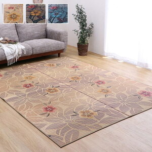 Ȃł  O 191×250cm 3 ` J[ybg Y { ԕ a rO ܐD ȒP  ėp RۖhL  L C ɂ