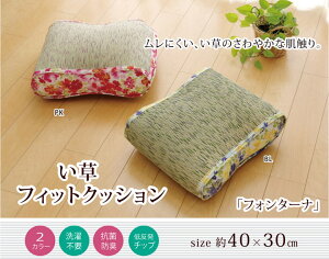 tH^[i NbV  40×30cm 2g  VRf ԕ 炳   킢  RۖhL  L