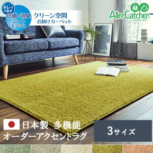 TeBG J[ybg O~ O 200×300cm 4 4 唻 傫 ` D RۖhL Y { Vv n _j΍ h_j h 