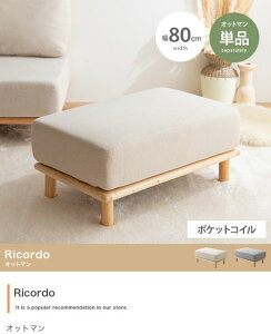 Ibg} Pi  k Xc[ ֎q `FA u  O[ AC{[  ؐt[ VR TChe[u V Ricordo ID003