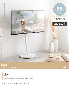 erX^h 32C`65^Ή LX^[t  nC^Cv ő卂128cm ۑ er 40v 60v  킢 Lize ID003