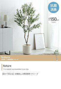 ϗtA tFCNO[ I[u 150cm ȒP 傫 t   lHA  rO Q tA r[ NatureV[Y ID003