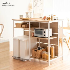 Lb`JE^[  S~[ 120cm 100 ^ 傫 k JE^[e[u X`[ Ƒ Lb`[  V Salus ID004