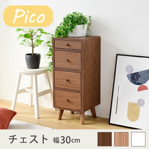 `FXg  X RpNg 30cm 4i ؐ [ o o ^X  k rO l炵 V Pico ID008 o