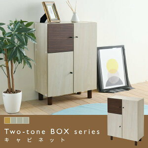 Lrlbg  60cm t [ e I {I bN ^ X RpNg rO k oCJ[ V twotone o ID008