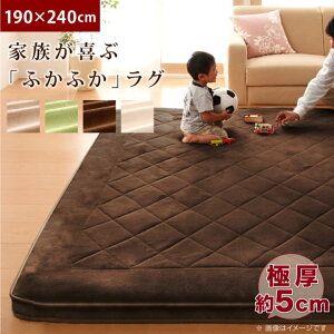 O 190×240cm ` 唻  g[ zbgJ[ybgΉ ~ߕt }CNt@Co[  I[V[Y X[p[ӂӂO