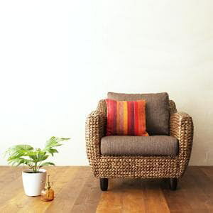 \t@  AWA R i`fUC \t@[ 1lp l| ЂƂ肪 RpNg EB[W EH[^[qVXV[Y 74cm 1P