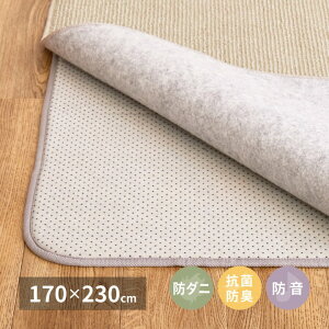 ~O E^ 10mm 3 3 ` 170×230cm ʊ~ߕt Ȃ h h_j R hL rO Vv zbgJ[ybg g[Ή