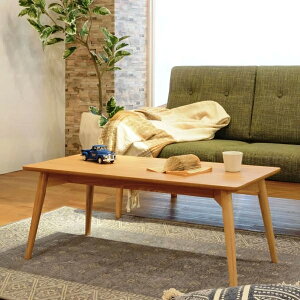 Z^[e[u [e[u 100cm `  ؐ VR e[u [^Cv k i` 1l 2l l炵  V ID012