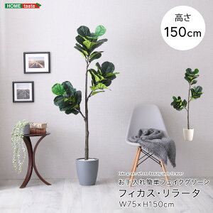 tFCNO[ tBJXE[^ MTCY(150cm) ȒP ϗtA 傫 t   lHA  rO Q tA r[ ID013