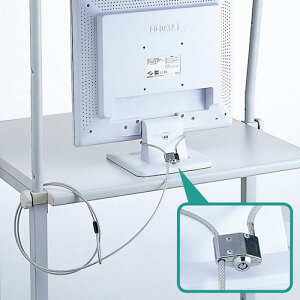 tfBXvCZLeB t̎񕔕Ɏt yʂōȉtfBXvC𓐓܂ TTvC SL-49  Vi