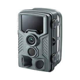 セキュリティカメラ 暗闇でも撮影できる赤外線センサー内蔵 サンワサプライ CMS-SC03GY 送料無料 メーカー保証 新品