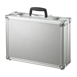 ZLeBΉ PC A~P[XiVo[j ΍\ rWlX TTvC BAG-AL5SL Vi 