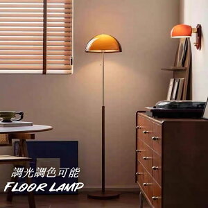 yr[TE3Nۏ؁ztAv X^h k  F LED AeB[N Rt F LEDdIvV ԐڏƖ tACg 邢 Vv LEDΉ 