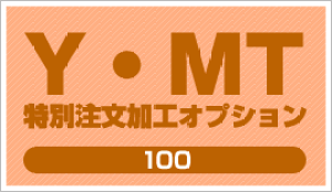 YMT ʒHIvV100