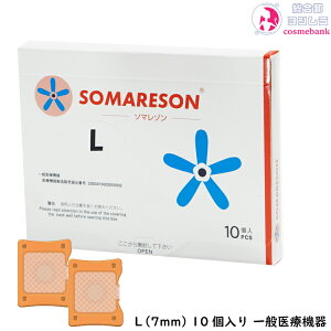 ySIzma \}] Li7mmj 10 bʈË@ hȂI