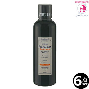 yx6{ZbgzsGX v|X tbV 600mL b}EXEHbVEI[PAEL΍Eh̓O[~g