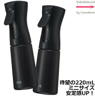 【送料無料！一部地域対象外】【 x2本セット 】アイビル エアリーミスト スプレー【　ブラック　】220mL …