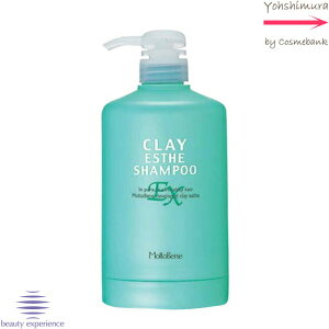 ビーエックス クレイエステ シャンプー 【 EX用カートリッジ 】【 サイズ: 500mL 】※ポンプと容器のみ※ b-ex|旧ビューティーエクスペリエンス・モルトベーネ