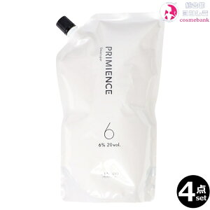 4_Zbg I v~GX fxbp[ 6% @1000mL bjA[ 򕔊Oi 2 ߎ_f ILV fxbp[