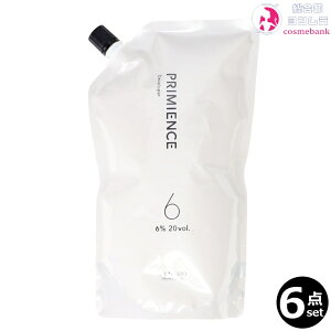 6_Zbg I v~GX fxbp[ 6% @1000mL bjA[ 򕔊Oi 2 ߎ_f ILV fxbp[