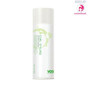 TX^[ VO5 for ARTIST LINE wAXvCCURL STYLING  260g@bJ[X^CO