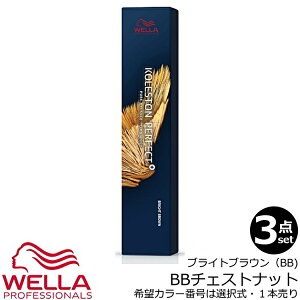 3{ZbgEbEG RXg p[tFNg{ivXjBB`FXibg@80g b^77b1 э 򕔊Oi Ɩp uCguE BRIGHT BROWN CHESTNUTS @ꕔnΏۊO