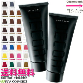 【2本セット・送料無料！一部地域対象外】イリヤ カラーコート ／ CC デコレ 160g ｜IRIYA COSMETICS DECOR｜ヘアマニキュア・業務用・プロ用・サロン専売・ヘアカラー・ヘアマニキュア・クリーミージェル・色鮮やか・しっとりなめらかな・天然保湿成分