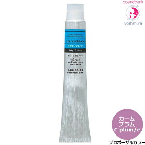�i�J�m �L�����f�R �J�[���J���[ C plum/c�i�J�[���v�����j 80g �b���܁E�v���|�[�U���J���[�E�A���J���^�C�v�E��򕔊O�i�E�w�A�J���[