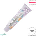 メール便専用・ナプラ ナシード コントロールカラー 80g ｜ファッションシェード 染毛料 一剤 サロン技術者専用 ライトナー ブルー グリーン イエロー オレンジ レッド パープル クリア