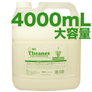 eʁIBL eAlX@RfBVi[@4000mL@xlbg