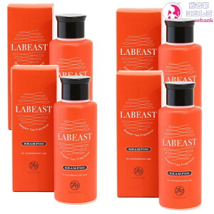 y4_ZbgEIꕔnΏۊOzLABEAST r[Xg x[XtbV Vv[ 130mLbEsE|[^uEMtgEEg(tbVIWyR)̍EmV