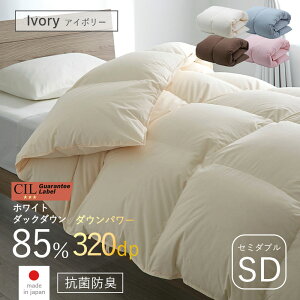 X[p[Z[ 10OFF{ zc Hѕzc Z~_u SD 170 210 zCg_bN_E 85% |zc {| _Ep[ 320 ӂƂ ~ |zc h_j AM[  Y  R hL 