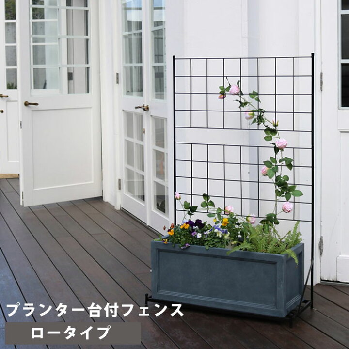 楽天市場 ガーデンフェンス ロータイプ 柵 アイアン グリーンカーテン ガーデニング 目隠し ベランダ バラ 枠 仕切り 支柱 庭 ガーデン ガーデニングフェンス ガーデニング雑貨 花壇 目隠しフェンス フェンス ゲート 遮光 アンティーク風 トレリス ラティス 仕切り