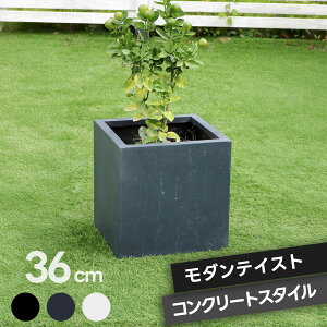 v^[ L[u^  ` Aؔ [^ {bNX Vv  p^36cm ^ 񂹐A v^[Jo[ K[f K[fjO Ԓd v^[bN nMO | K