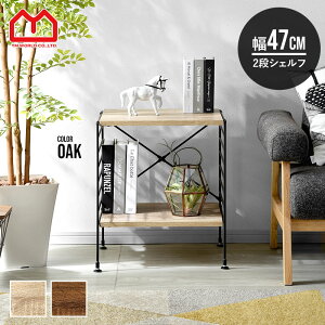 420g撅505N[|zzjbgVFt 2i 47cm  bN VFt nK[bN {I HI X`[bN W ؐ [I I[vbN X