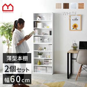 LINEǉ300~N[|^ {I 60cm 2g I X e IV I G{I k [ fBXvCbN  bN ؐ EbhbN I[vbN [I HI 