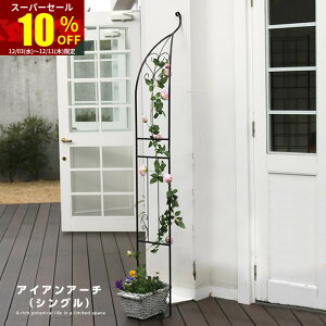 X[p[Z[ 10OFFK[fA[` 55cm [YA[` oN}`XA[` | K[fjOpi K[f t@j`[ TCheBX ACA |pi ԗ ԑ 뉀 