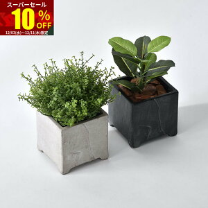 X[p[Z[ 10OFFAؔ v^[  |bg XNGA 4  k AeB[N  K[fjO K[f CeA lp p^ ϗtA |  O  A 