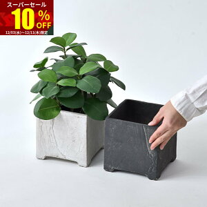 X[p[Z[ 10OFFAؔ v^[  |bg XNGA 5  k AeB[N  K[fjO K[f CeA lp p^ ϗtA |  O  A 