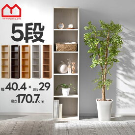 ★LINE追加で300円クーポン★おしゃれ A4 カラーボックス 5段 収納 本棚 オープン スリム 薄型 マルチ ラック オシャレ かわいい 子供 絵本 DVD コミック おもちゃ 絵本棚 シンプル カフェ 北欧 キャビネット マガジン 木製 シェルフ オーク 横置き 収納ケース 収納ボックス