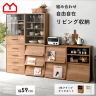 1枚フラップ 扉付 キャビネット本棚 棚 ラック リビング収納 可動棚チェスト 北欧 薄型スリム 扉付き カ…