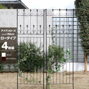 LINEǉ300~N[|tFX ACAtFX 4g [^Cv 156cm K[ftFX ACA gX K[fjO AeB[N ډB O d؂  v^[ o 