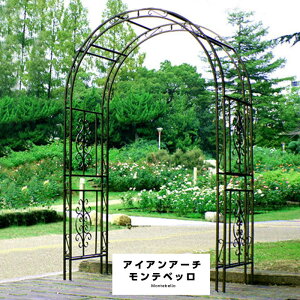 LINEǉ300~N[|K[fA[` 137cm [YA[` oN}`XA[` | K[fjOpi K[f t@j`[ TCheBX ACA |pi ԗ ԑ 뉀