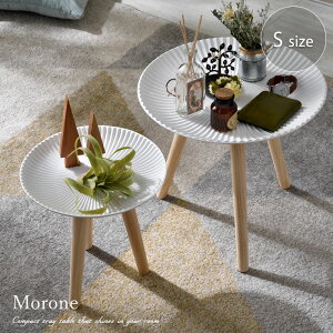 TChe[u   k ؐ 30cm  zCg  AeB[N bR CeA G VR X ~je[u l炵 \t@e[u iCge[u Eh 