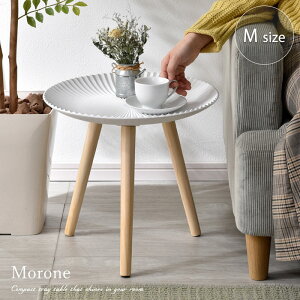 TChe[u   k ؐ 40cm  zCg  AeB[N bR CeA G VR X ~je[u l炵 \t@e[u iCge[u Eh 