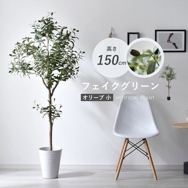 楽天市場】フェイクグリーン 大型 玄関 オリーブ オリーブの木 150cm 