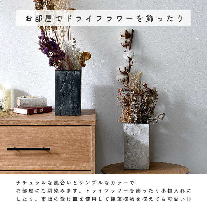 楽天市場】☆4日20時〜先着15名20％OFFクーポン配布中☆植木鉢  